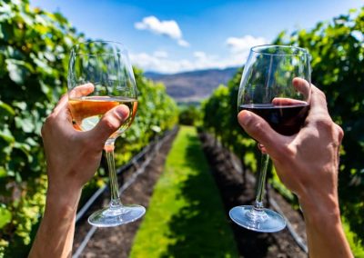 Okanagan RV Wine Touring