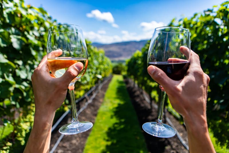 Okanagan RV Wine Touring